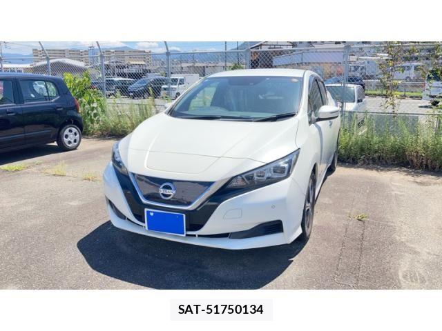 Nissan LEAF 2019-01 8336490-0