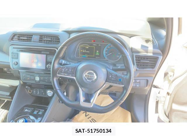 Nissan LEAF 2019-01 8336490-14