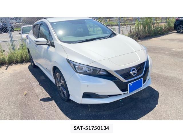 Nissan LEAF 2019-01 8336490-1