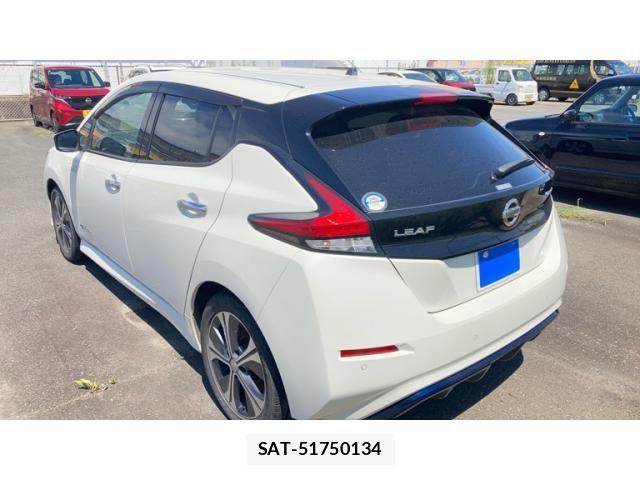 Nissan LEAF 2019-01 8336490-7