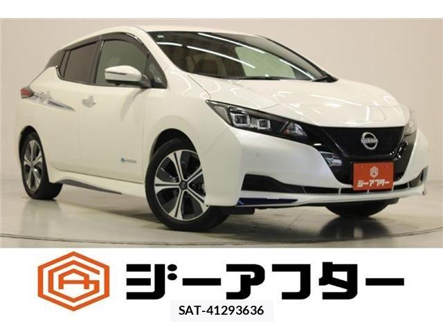 Nissan LEAF 2022-03 8336487-0