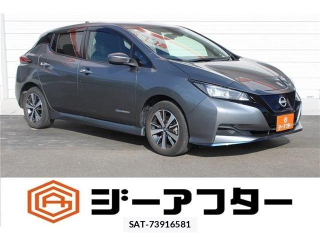 Nissan LEAF 2021-07 8336486-0