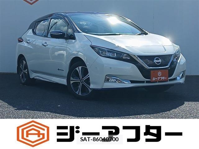 Nissan LEAF 2019-08 8354812-0