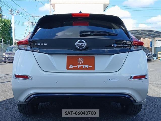 Nissan LEAF 2019-08 8354812-9