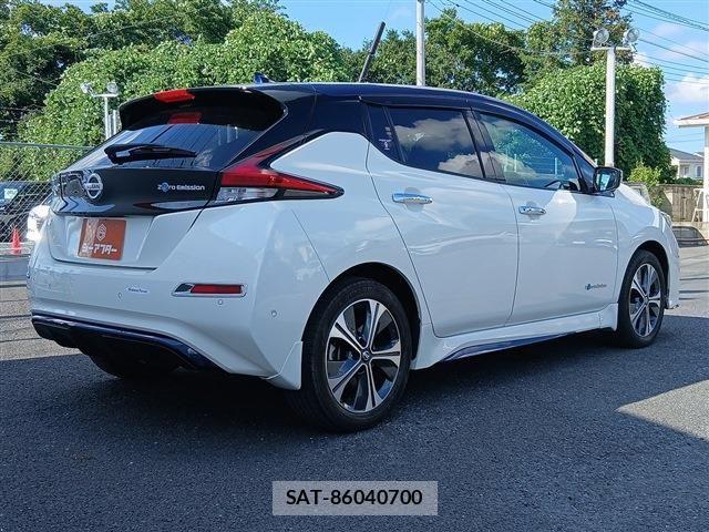Nissan LEAF 2019-08 8354812-21