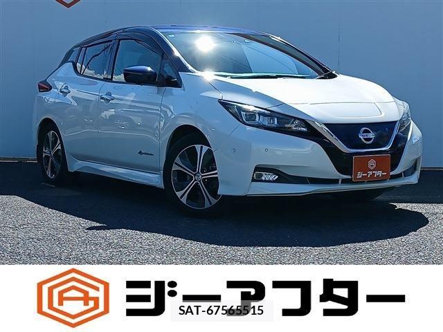 Nissan LEAF 2018-02 8354810-0