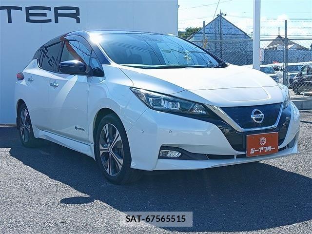 Nissan LEAF 2018-02 8354810-20