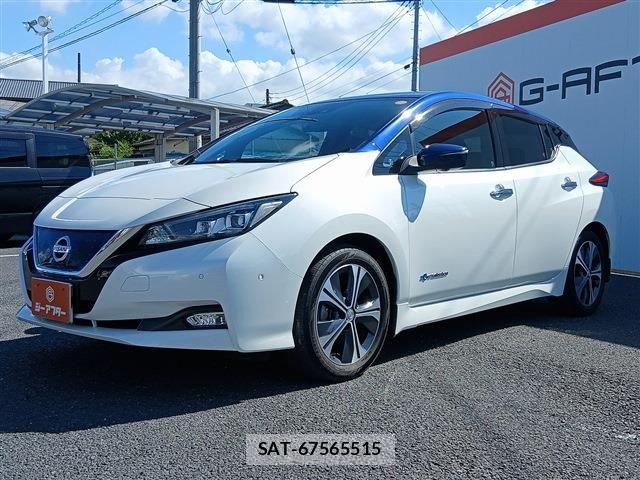 Nissan LEAF 2018-02 8354810-23