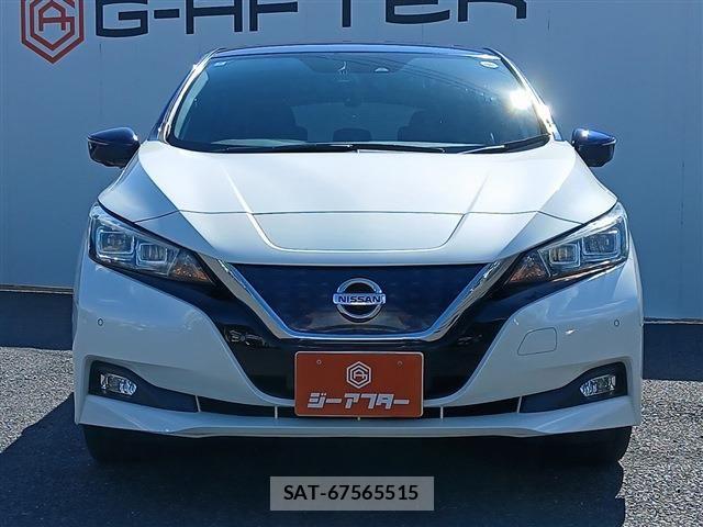 Nissan LEAF 2018-02 8354810-7