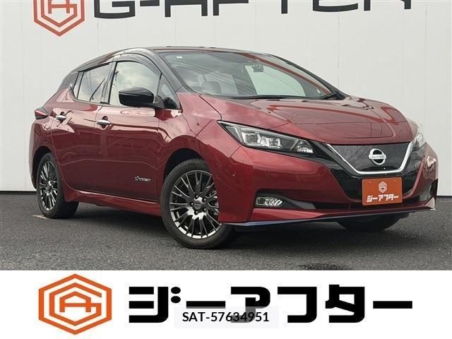 Nissan LEAF 2019-01 8366637-0