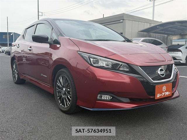 Nissan LEAF 2019-01 8366637-20