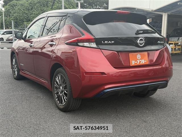 Nissan LEAF 2019-01 8366637-22