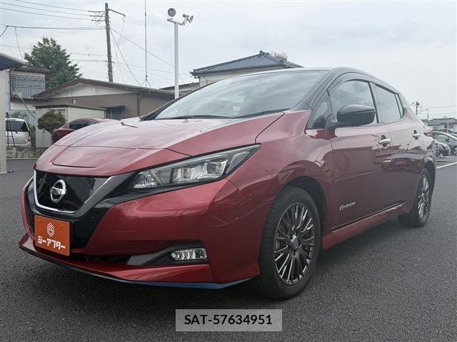 Nissan LEAF 2019-01 8366637-23