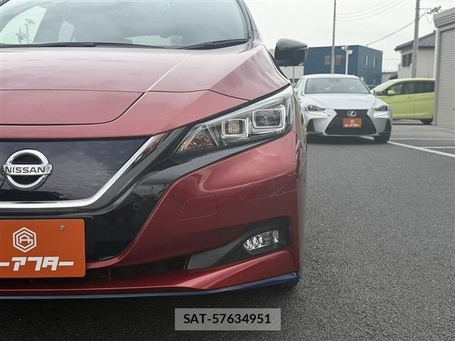 Nissan LEAF 2019-01 8366637-24