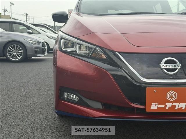 Nissan LEAF 2019-01 8366637-26