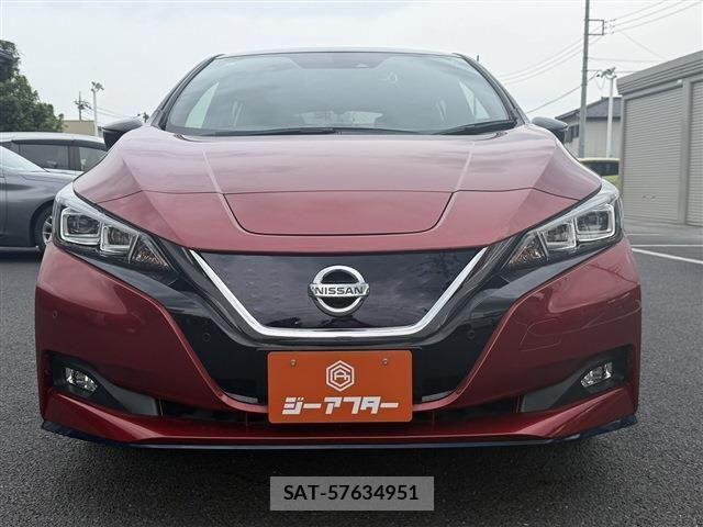 Nissan LEAF 2019-01 8366637-7