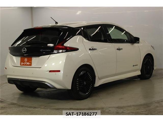 Nissan LEAF 2022-09 8366635-4
