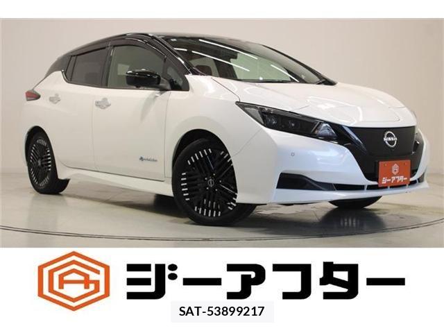 Nissan LEAF 2022-07 8366633-0
