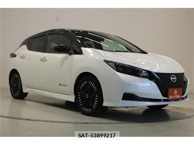 Nissan LEAF 2022-07 8366633-5