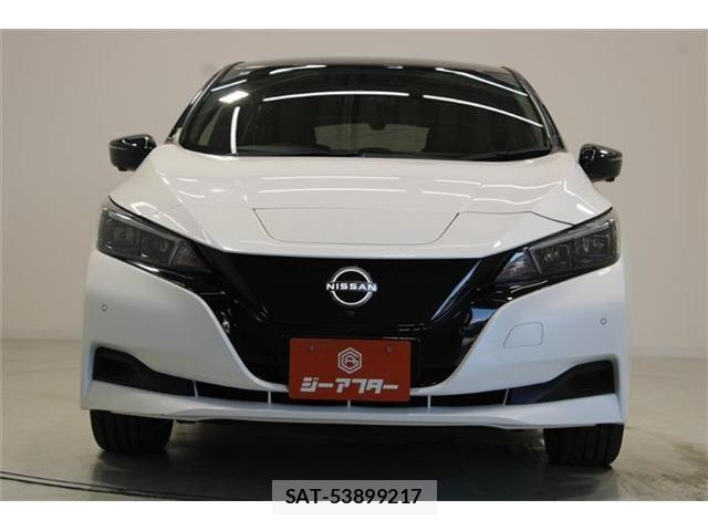 Nissan LEAF 2022-07 8366633-6