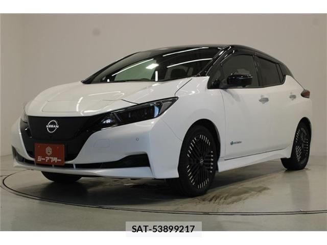 Nissan LEAF 2022-07 8366633-7
