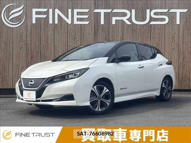 Nissan LEAF 2021-03 8366638-0