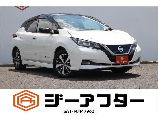 Nissan LEAF 2021-02 8366634-0