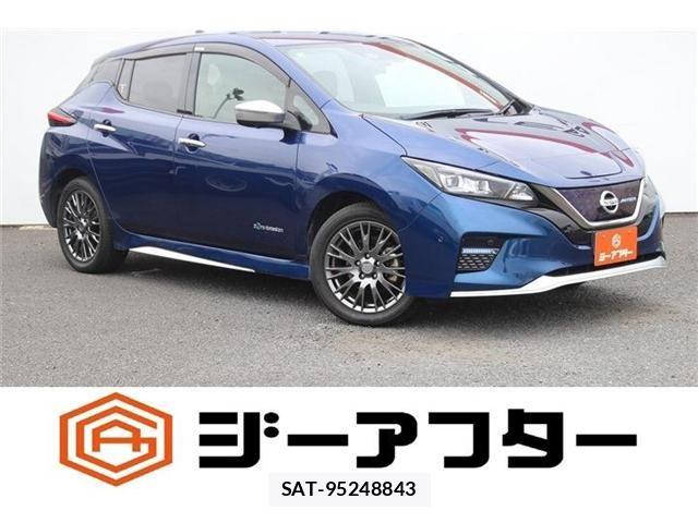 Nissan LEAF 2019-08 8371782-0