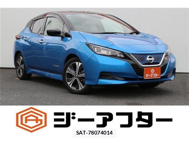 Nissan LEAF 2020-05 8371784-0