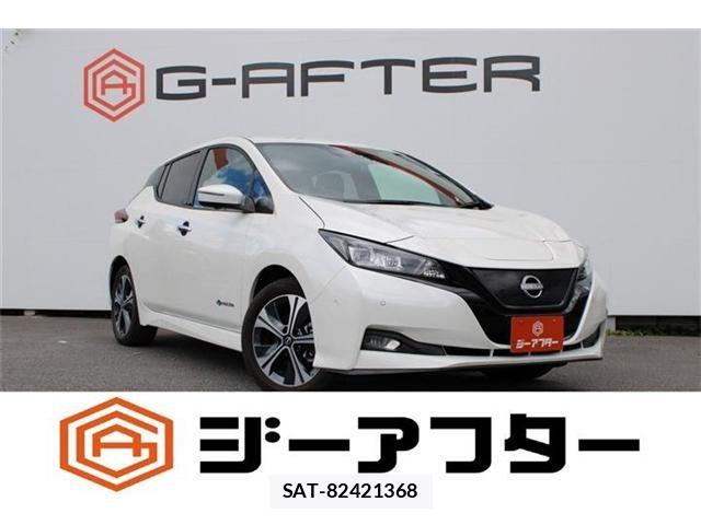 Nissan LEAF 2021-07 8413179-0