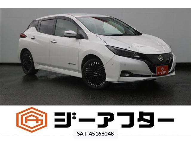 Nissan LEAF 2023-02 8413178-0