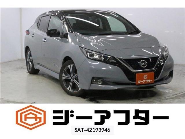 Nissan LEAF 2020-03 8413182-0