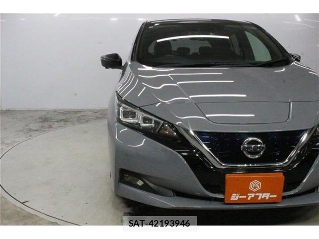Nissan LEAF 2020-03 8413182-10
