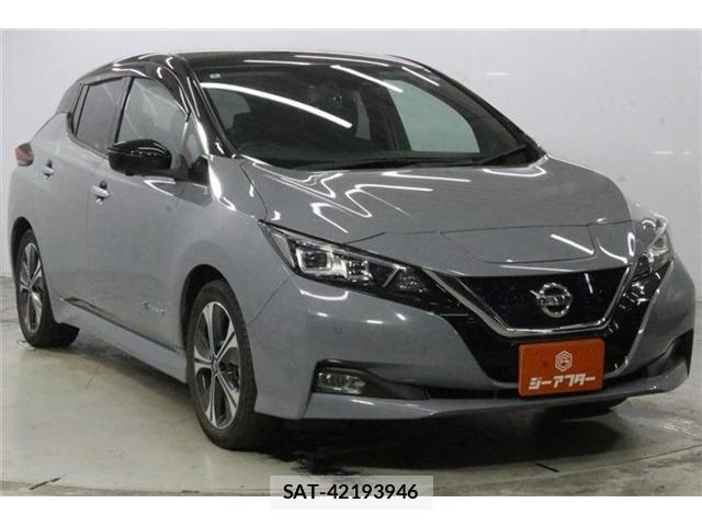 Nissan LEAF 2020-03 8413182-1