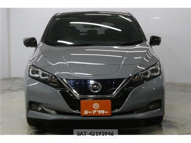 Nissan LEAF 2020-03 8413182-2