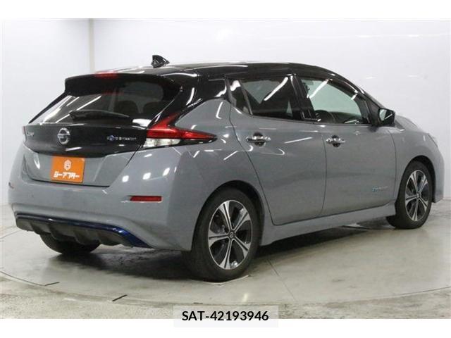 Nissan LEAF 2020-03 8413182-4