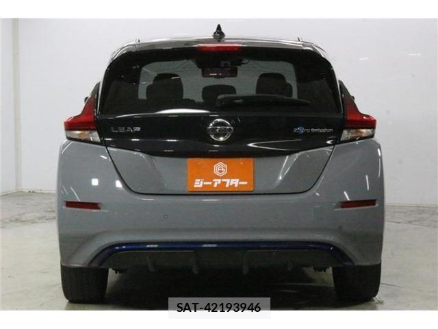 Nissan LEAF 2020-03 8413182-5