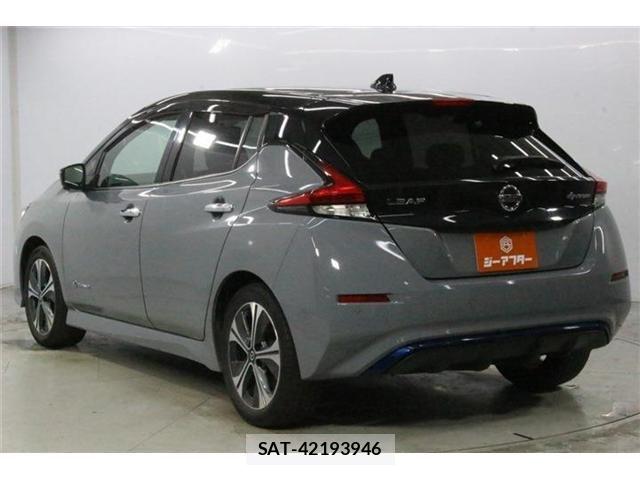 Nissan LEAF 2020-03 8413182-6