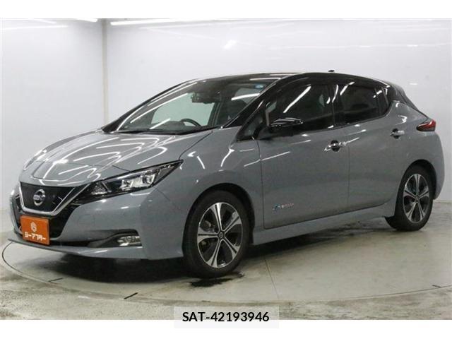 Nissan LEAF 2020-03 8413182-8