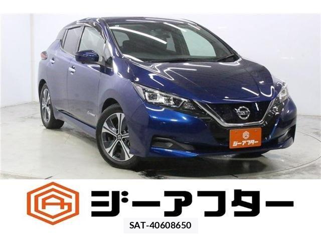 Nissan LEAF 2020-11 8413184-0