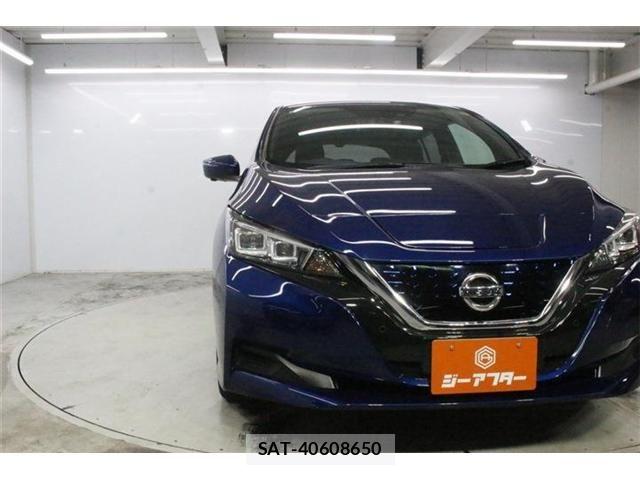 Nissan LEAF 2020-11 8413184-10