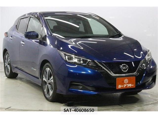 Nissan LEAF 2020-11 8413184-1