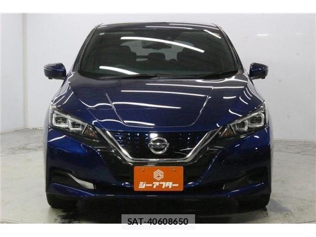 Nissan LEAF 2020-11 8413184-2