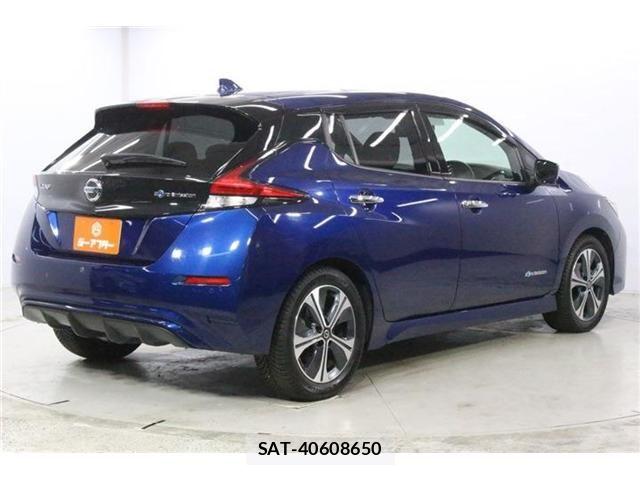 Nissan LEAF 2020-11 8413184-4