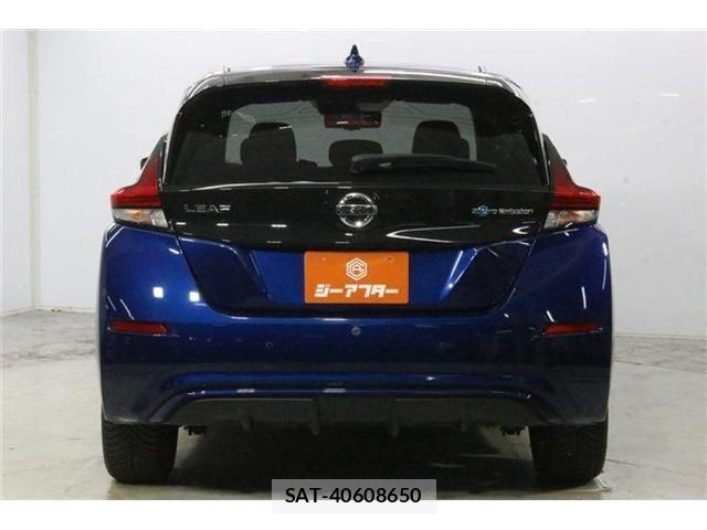 Nissan LEAF 2020-11 8413184-5
