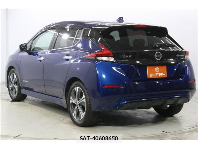 Nissan LEAF 2020-11 8413184-6