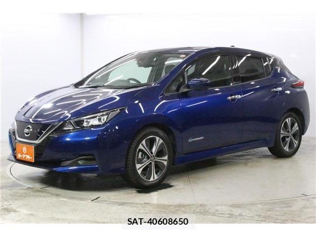 Nissan LEAF 2020-11 8413184-8