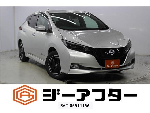 Nissan LEAF 2025-08 8485605-0