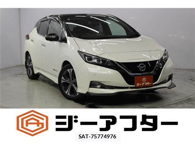 Nissan LEAF 2020-02 8485616-0