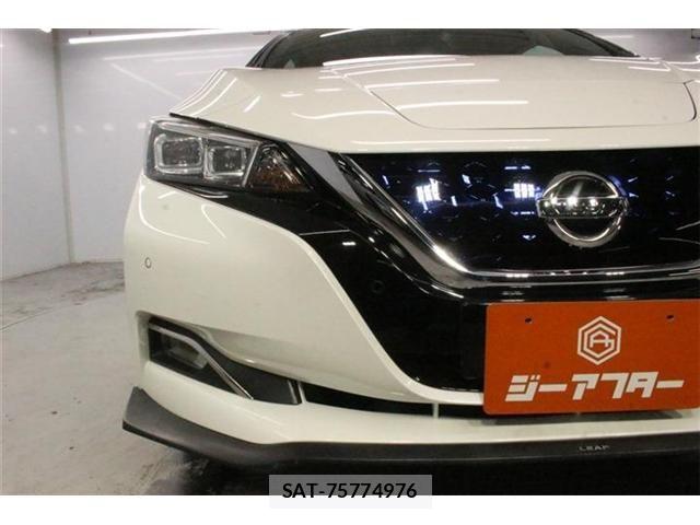 Nissan LEAF 2020-02 8485616-10